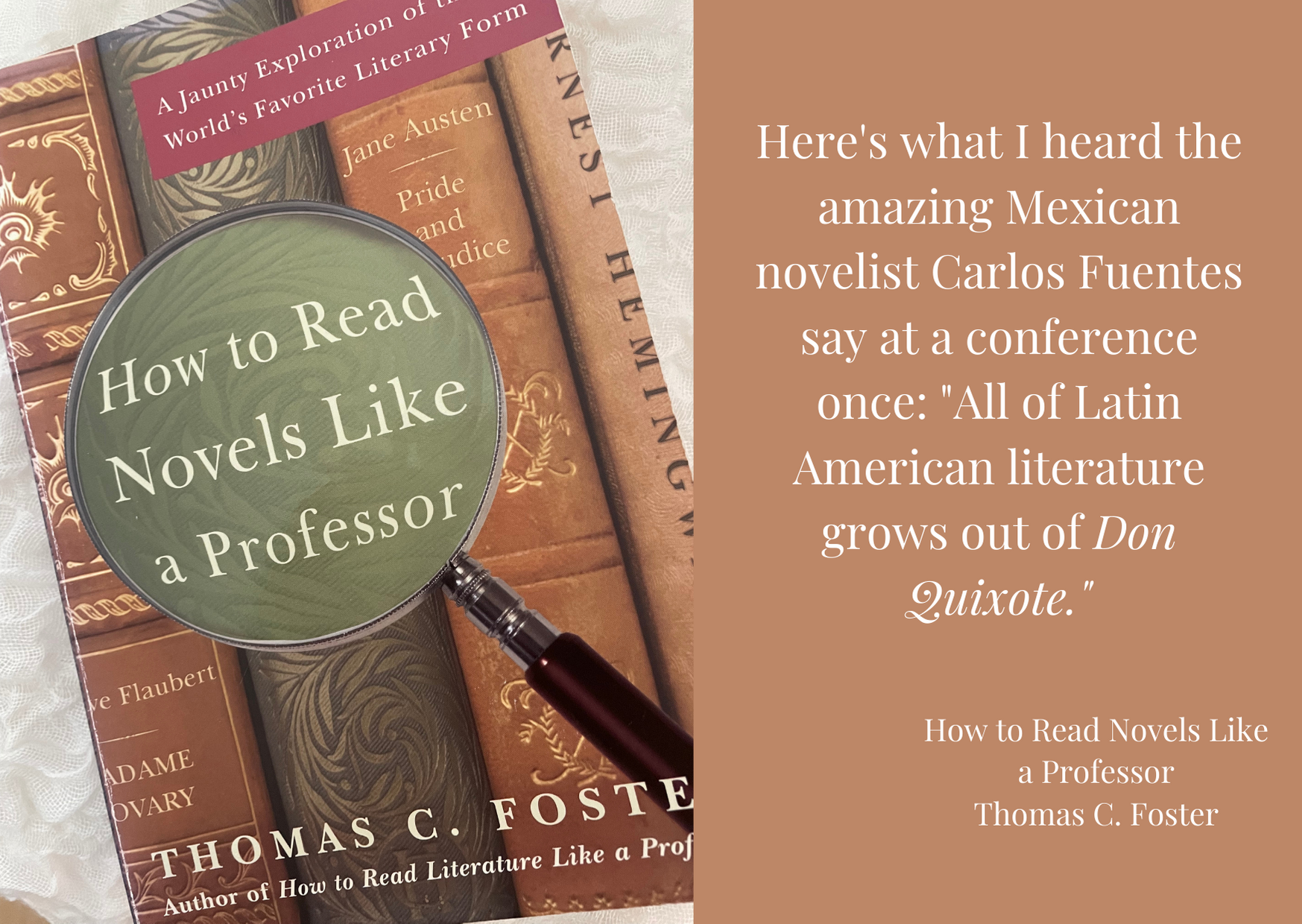 How To Read Novels Like A Professor by Thomas C. Foster