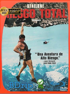 Riesgo total (1993) BDRIP 1080p Latino [GoogleDrive] SXGO