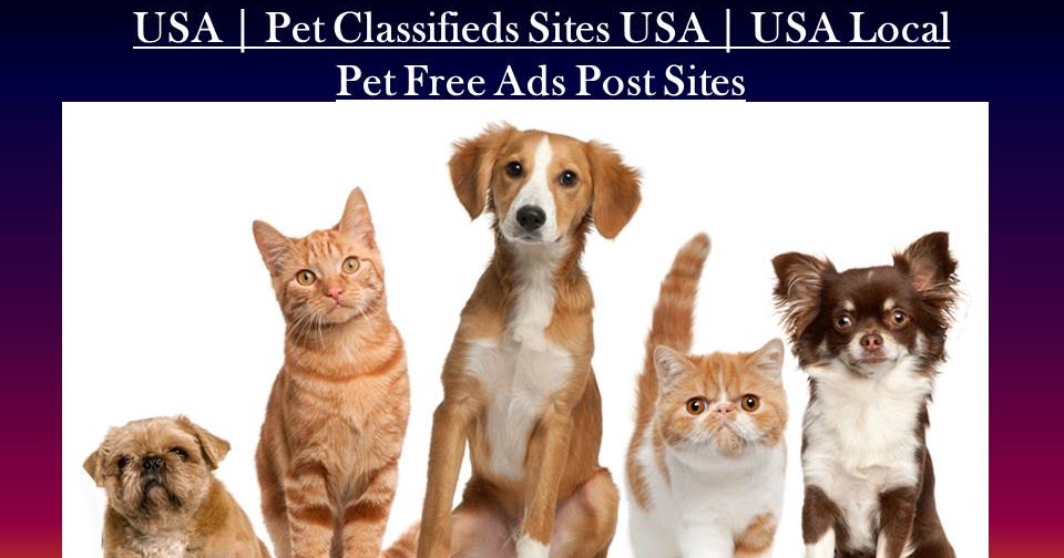 Top 50+ Free Pet Classified Site in USA Best USA Pet Classified Sites