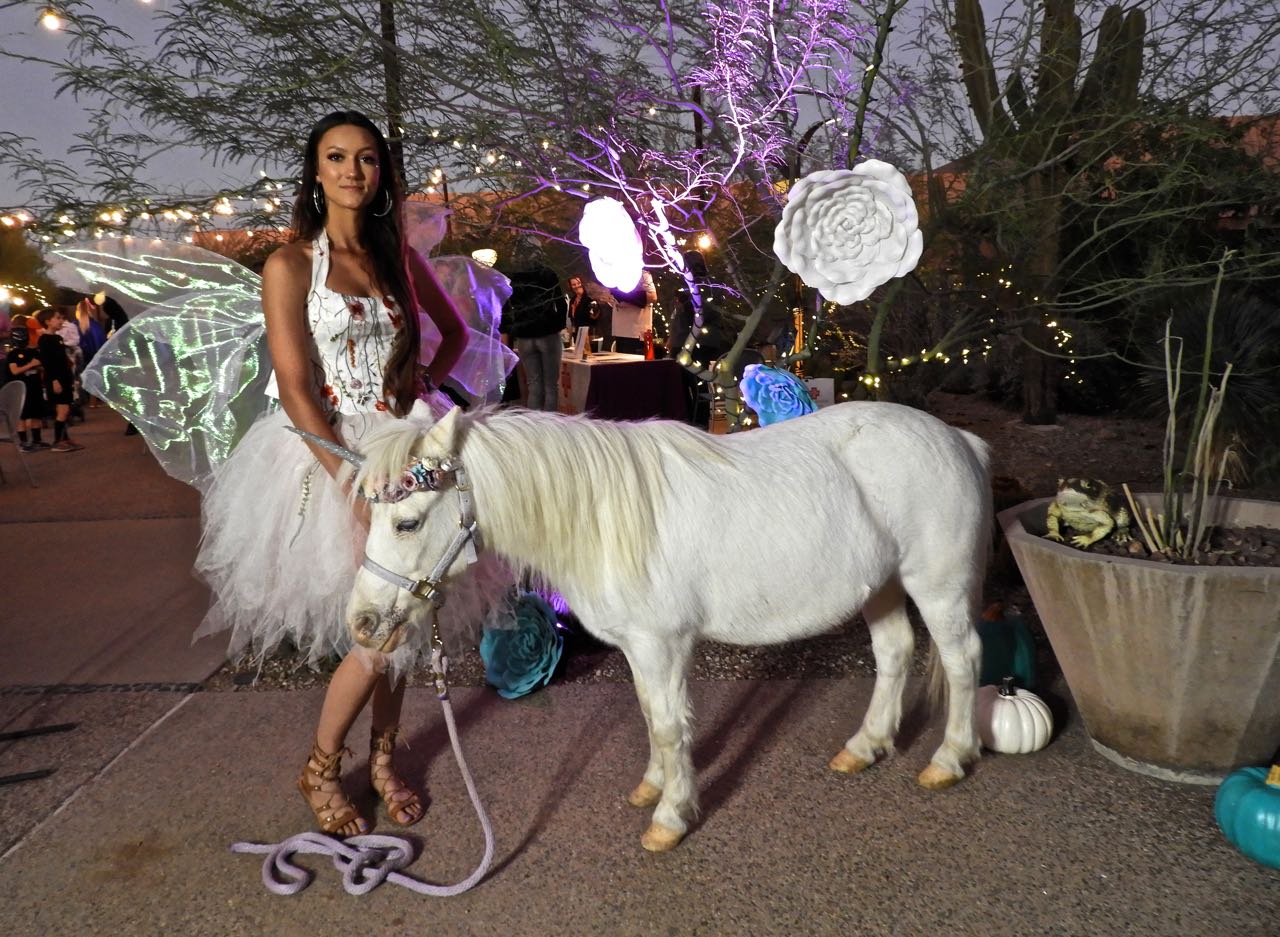 Phoenix Daily Photo Unicorns Do Exist