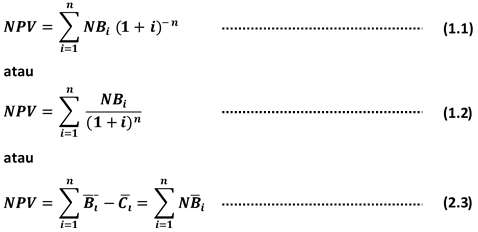 net present value net present value