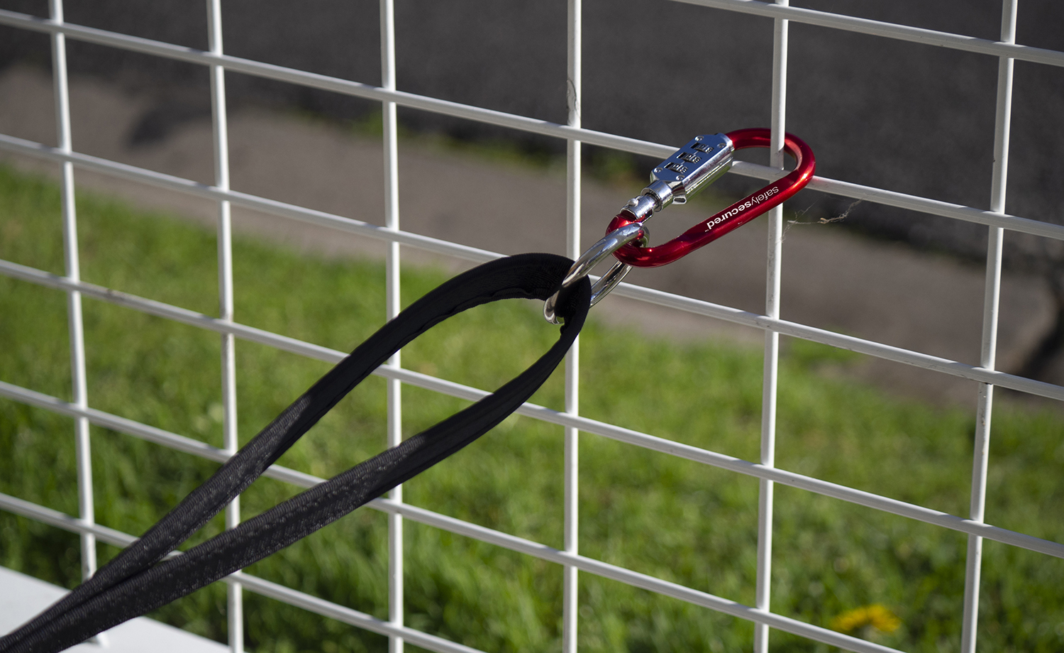 Win 1 of 3 Safely Secured AntiTheft Dog Lead & Harness Sets