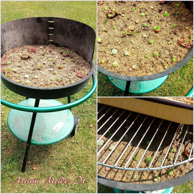 Griller-Hauswurztopf-Vogelbad-Kombination/barbecue grill-houseleek-birdbath-combination