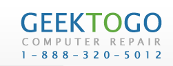 Geek TOGO USA    Computer Repair and Support