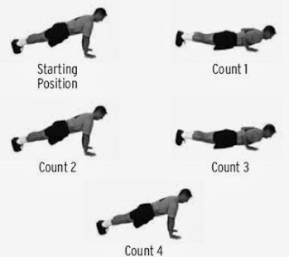 Physical Guide: The Push–up