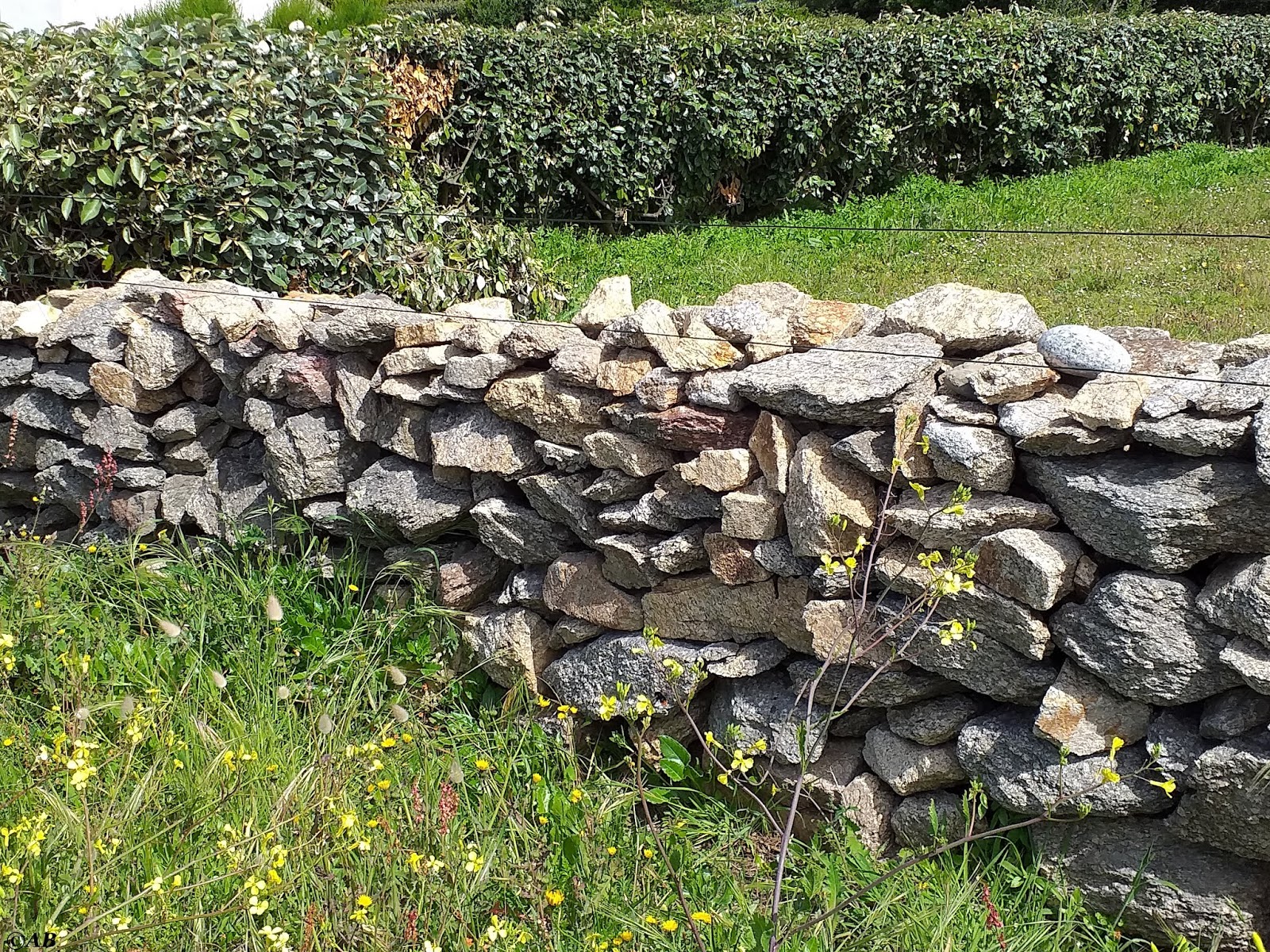 j'ai vu, j'ai photographié, je partage