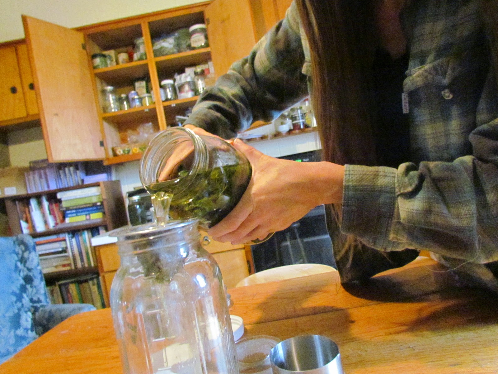 Wild Garden Goddess The Kombucha Experiment 1 Lemon Balm