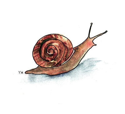 snail by Yukié Matsushita