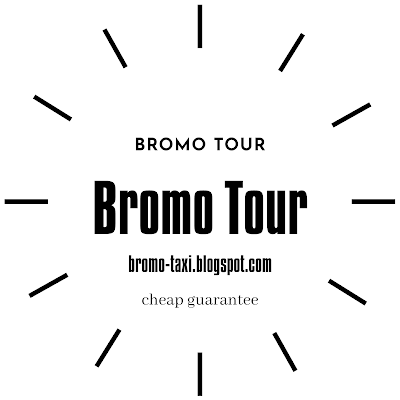 The Best 3 Bromo Tour Options