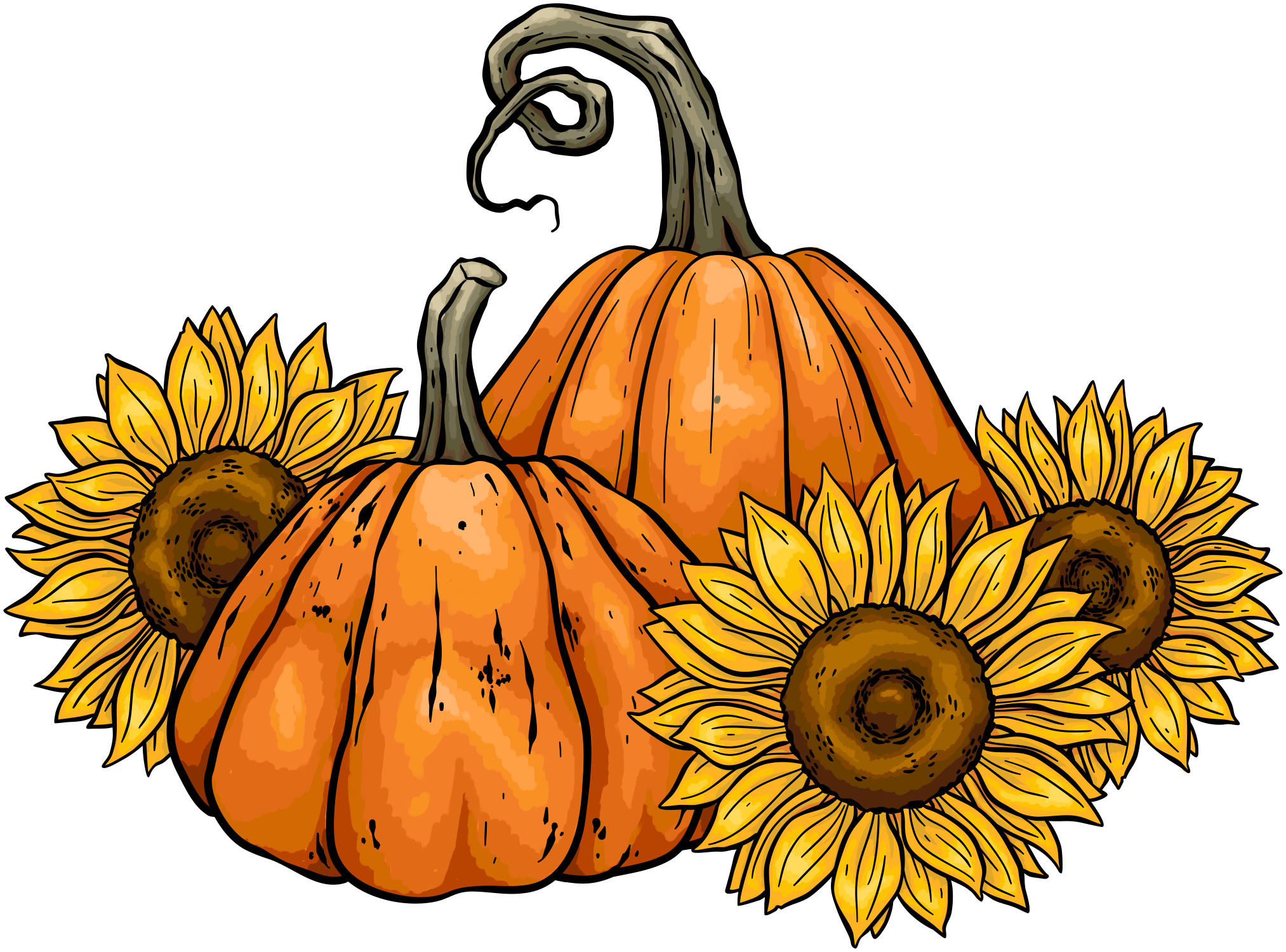 Beccys place pumpkins  sunflowers