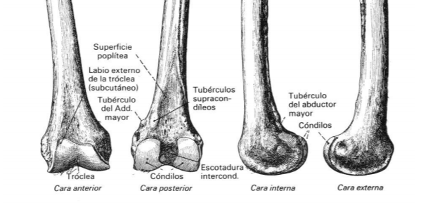 Traumatólogo de Guardia - Pedro Larrauri - Vigo.: Fisura de tubérculo