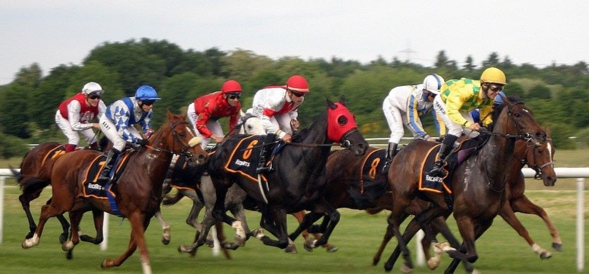 Horse Racing Gambling System necessities