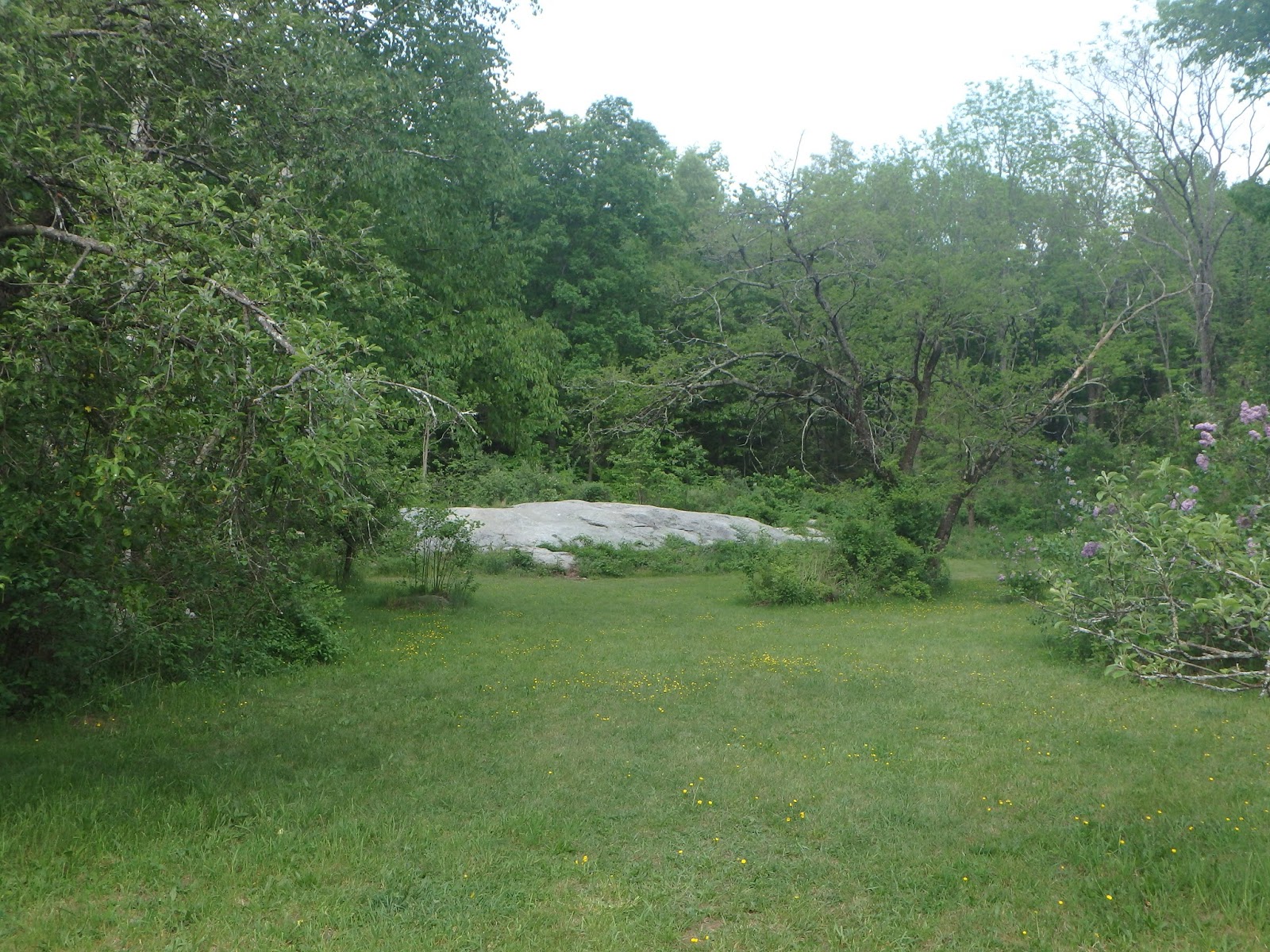 View from Lake Wyola Lilacland in Pelham
