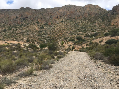 Nos vamos de Excursión, senderista, senderismo, montaña, ruta, ruta de la sal, albatera, Rambla de la sal, excursión, salida, montañismo, trekking, salida en familia, salida al campo, sitios con encanto, haz deporte, deporte, acueducto, rambla salada, canalon rambla salada, surgencias, pozos, acueductos, dolomias, calizas, areniscas, sales del trias keuper, barron negro, estrecho de las ventanas, 