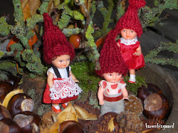 Link to: Forest Gnomes Adventures.