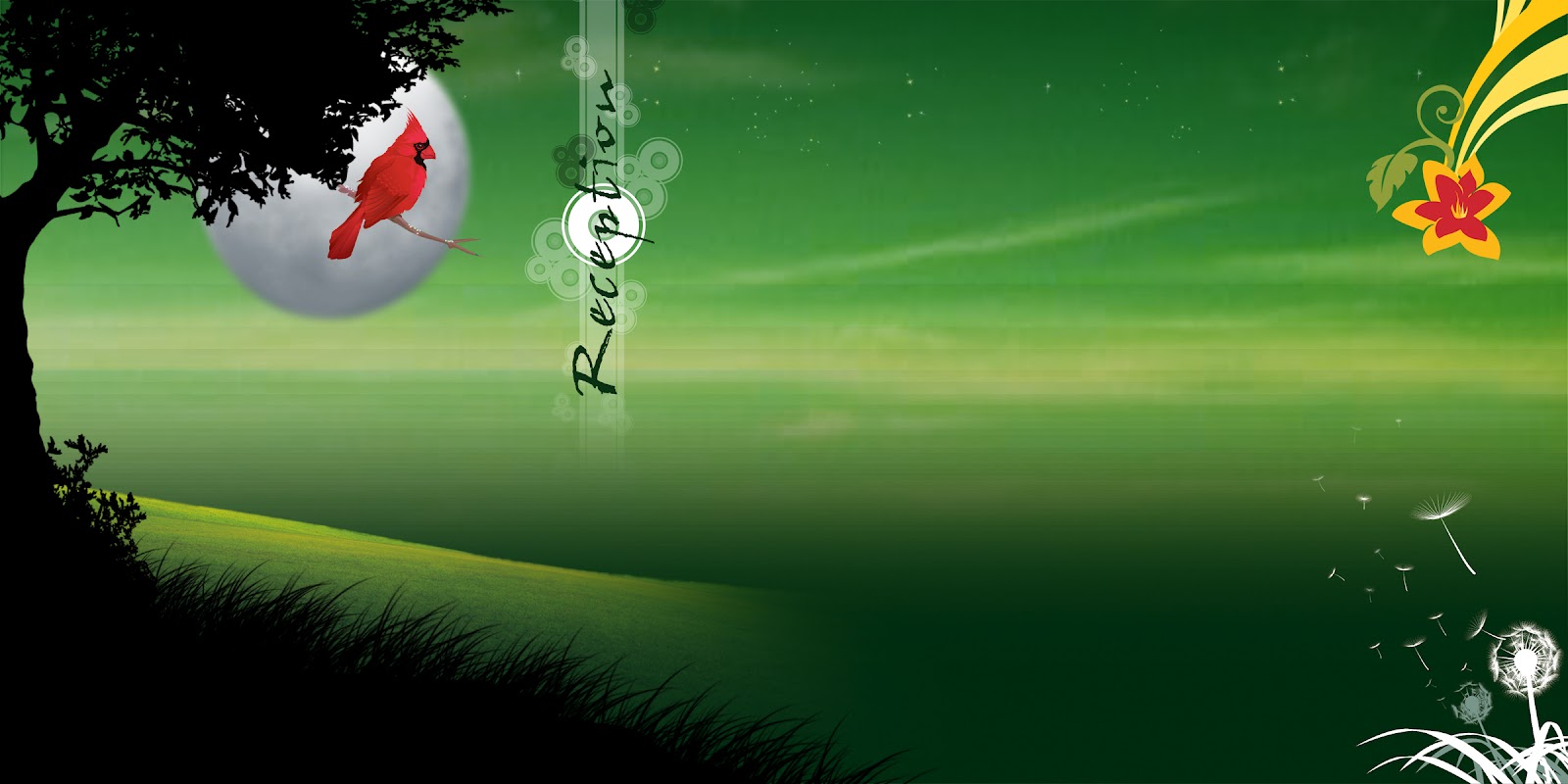Karizma Background HD 12 X 36 StudioPk