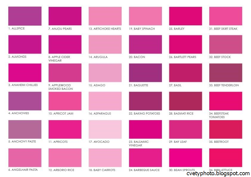 Все оттенки розового цвета и их названия фото