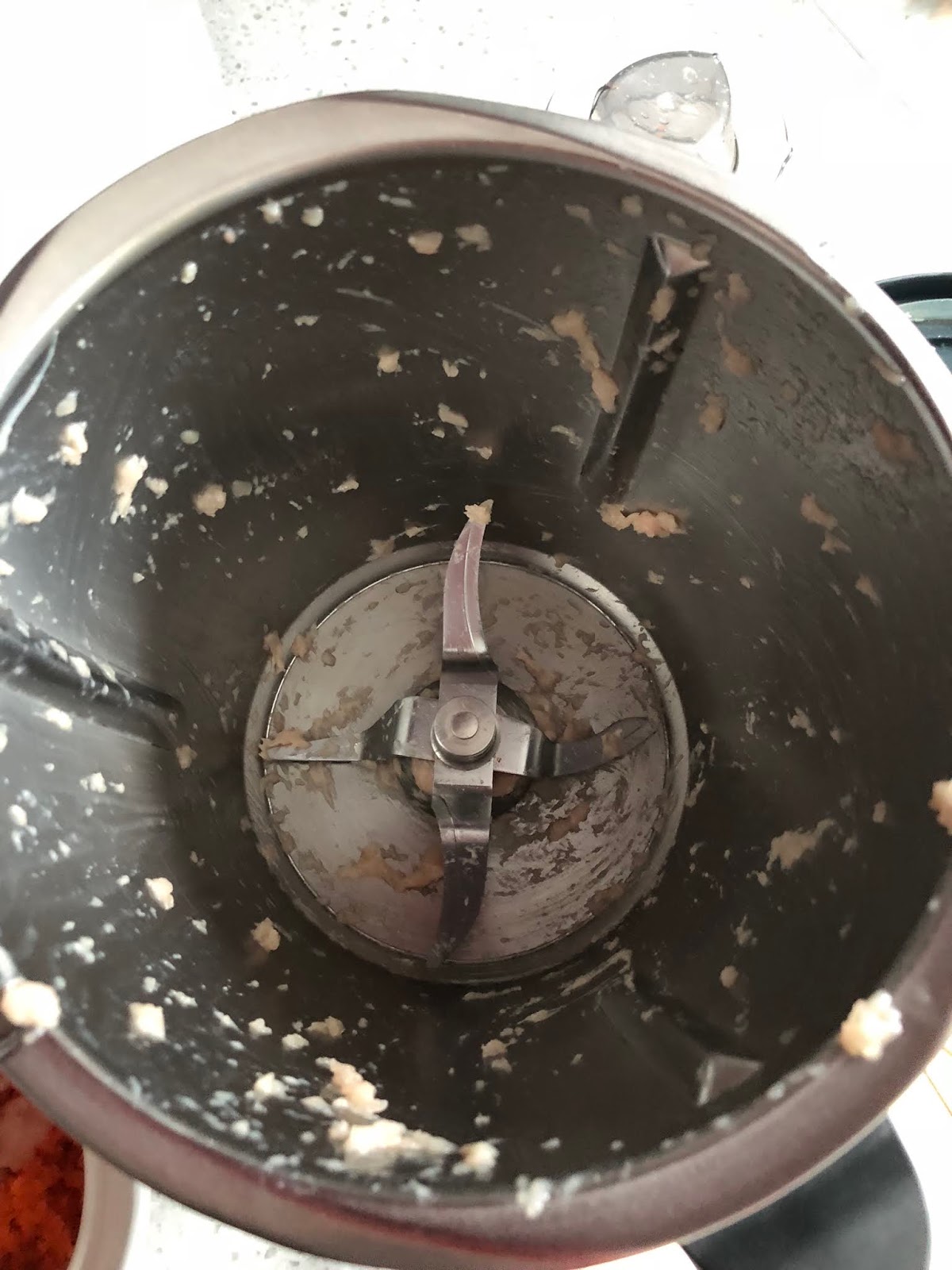 The Right to Be Alive Thermomix Mince Meat