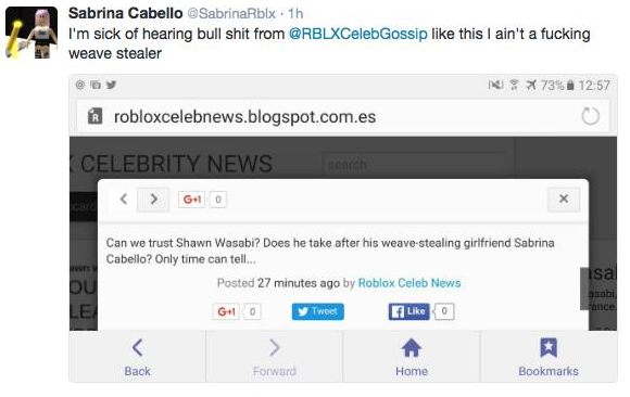 Roblox Fake Blog News