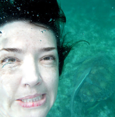 underwater pic with turtle