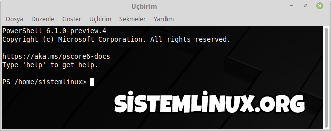 Microsoft PowerShell [SNAP] Kurulumu Nasıl Yapılır?