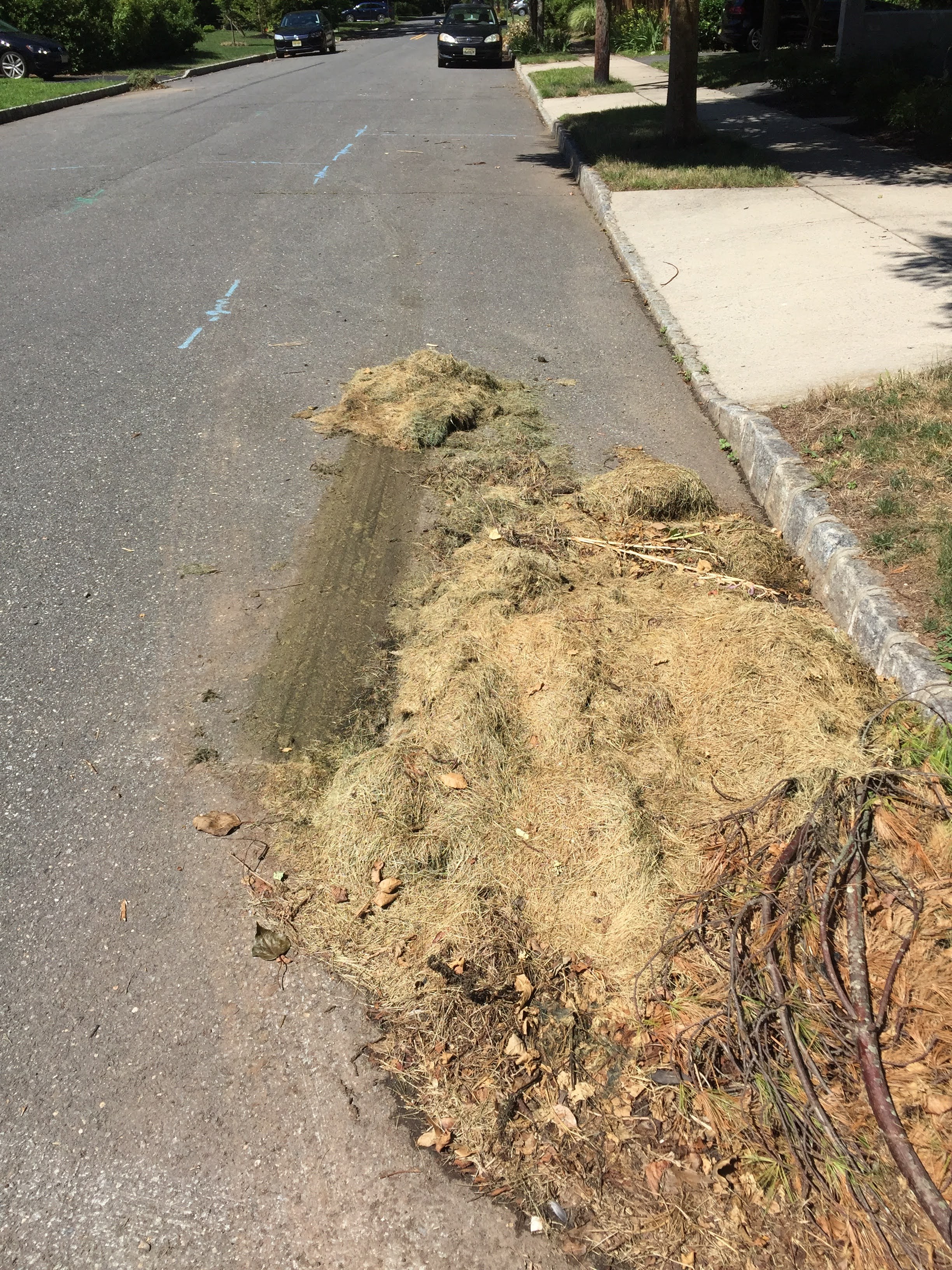 PrincetonPrimer The Logic of Banning Grass Clippings From the Streets