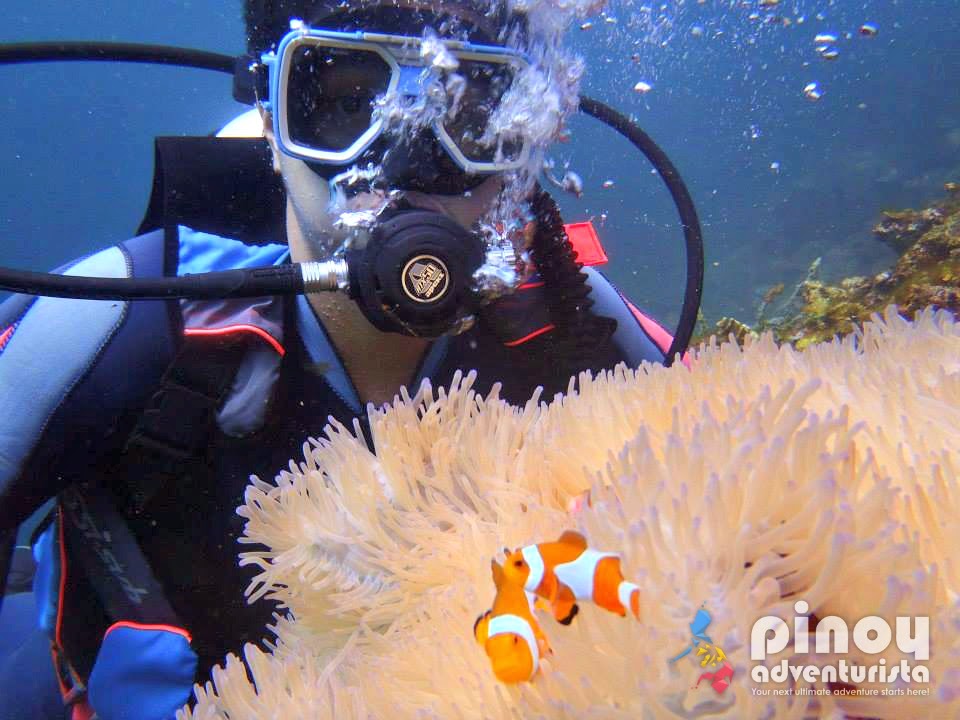 Best Diving Spots in the Philippines Blogs, Travel Guides, Things to