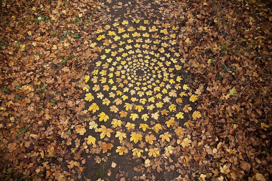 Artist Turns Natural Objects Into Mesmerizing Mandalas And Leaves Them For People To Discover Artist Turns Natural Objects Into Mesmerizing Mandalas And Leaves Them For People To Discover