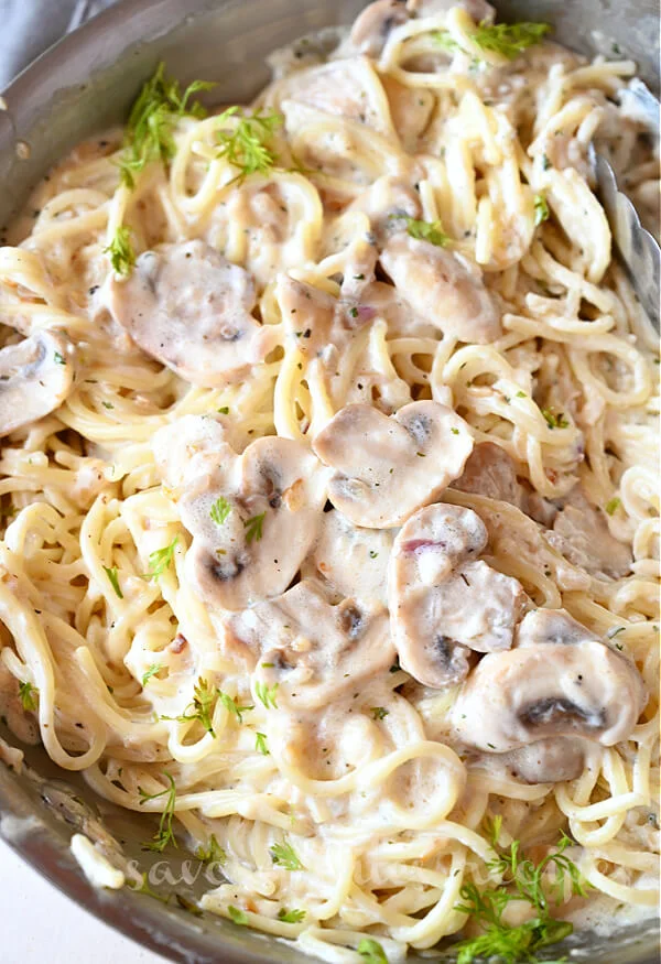 mushroom pasta with homemade mushroom pasta sauce