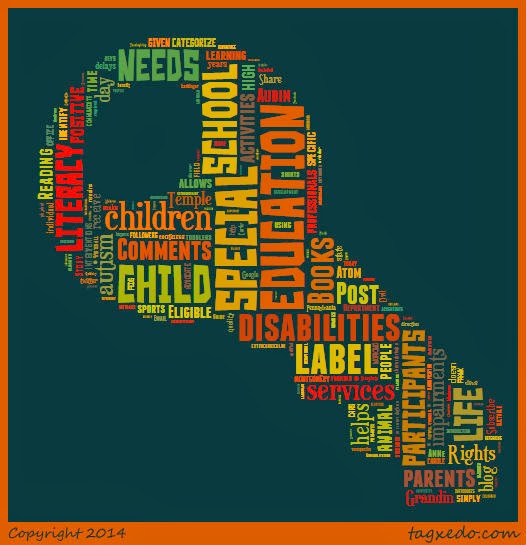 Education In All Ways Special Labeling A Positive Requirement to be