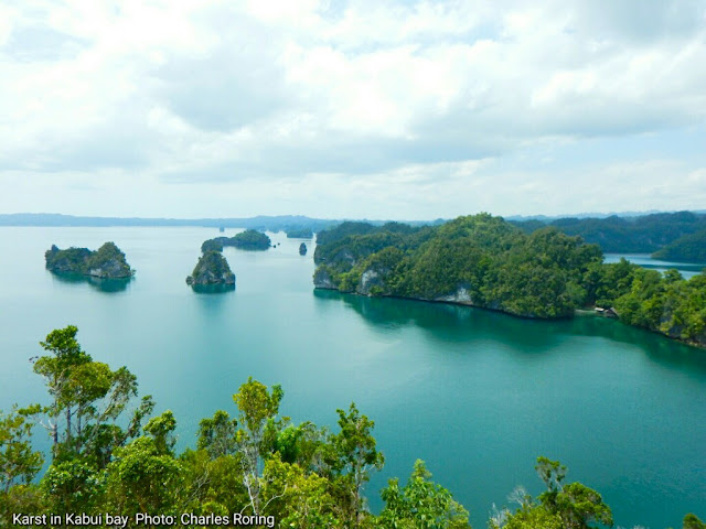 Jalan-jalan ke kepulauan Raja Ampat Kabui karst di Pulau Waigeo Raja Ampat foto oleh: Charles Roring