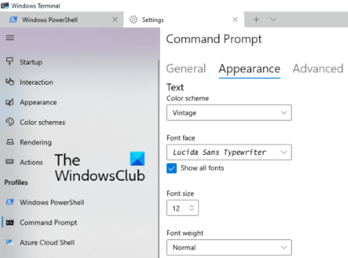 personalizzare i caratteri del terminale di Windows
