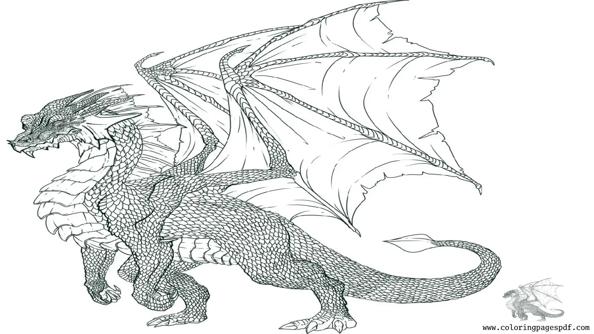 Coloring Page Of A Dragon Standing On Two Legs