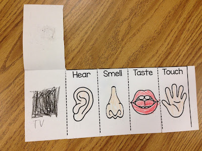 My 5 Senses - The Primary Post