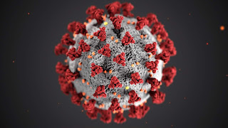 photo of virus