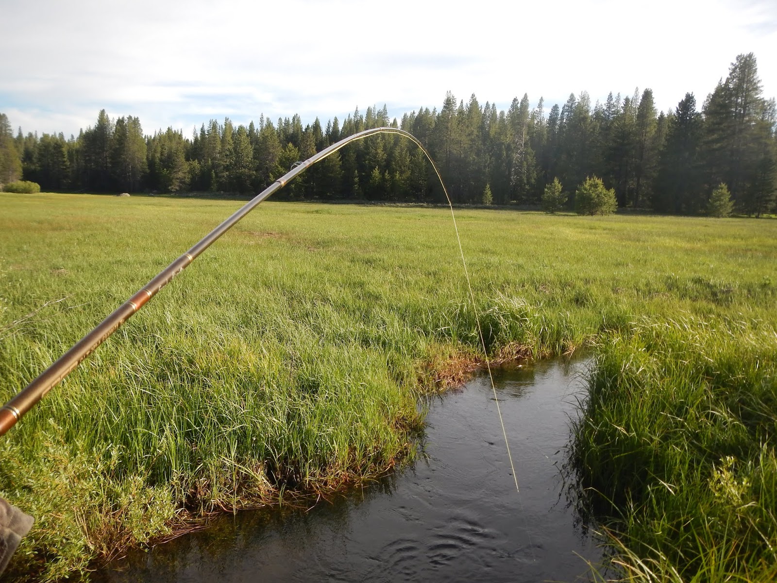 California Fly Fishing: Brookies & Bent Rods...Truckee Area