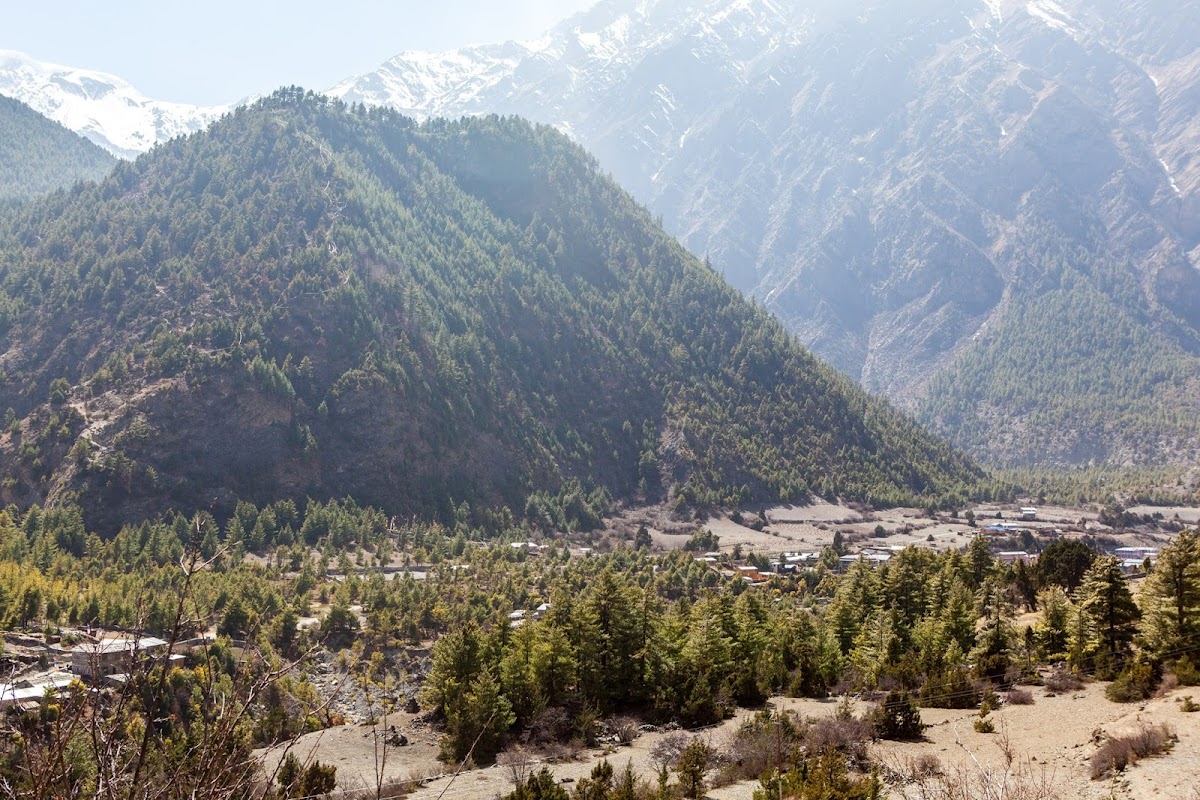 200км по красно-белым черточкам.. Around Annapurna. март-апрель 2017