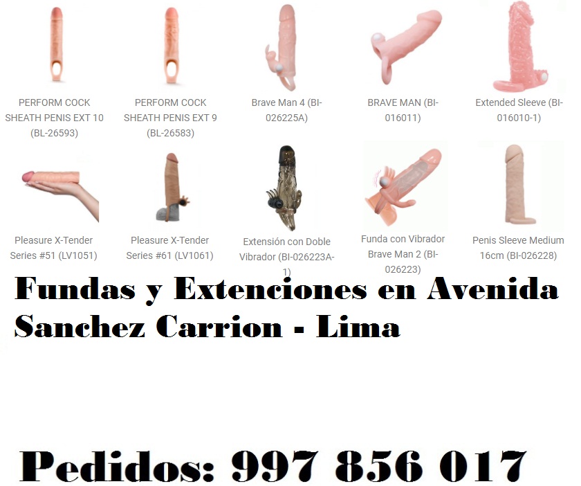 en Avenida Sanchez Carrion - Lima