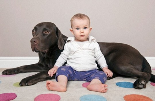A Dog In The Home May Lower Kids' Odds For Asthma