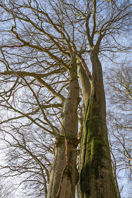 Felsentour Herbstein | Extratour Vogelsberg | Wandern in Hessen 19