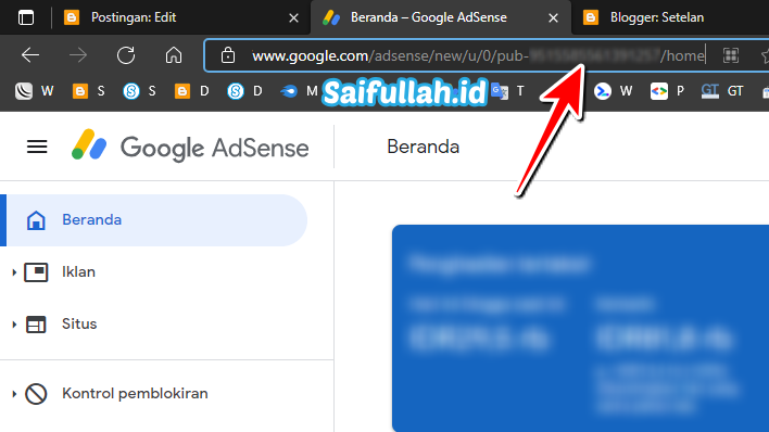 Masa Penangguhan Iklan AdSense Berakhir, Namun Iklan Tetap Tak Muncul: Penyebab dan Solusi