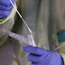 Δήμος Μαραθώνα : Δωρεάν Rapid Tests Covid-19 την Παρασκευή 5 Μαρτίου 2021.
