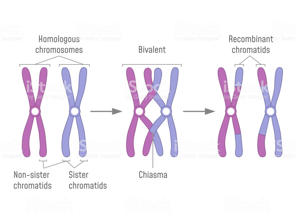 Biología 2 C201