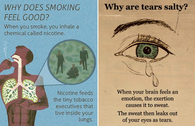 Facts science 1. текст scientists have discovered. Science 1. Facts science 1. Facts science 1.