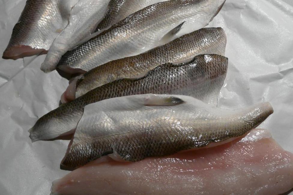 Kulinarische Welten zu Fisch- und Meeresfrucht: Bodenseefelchen