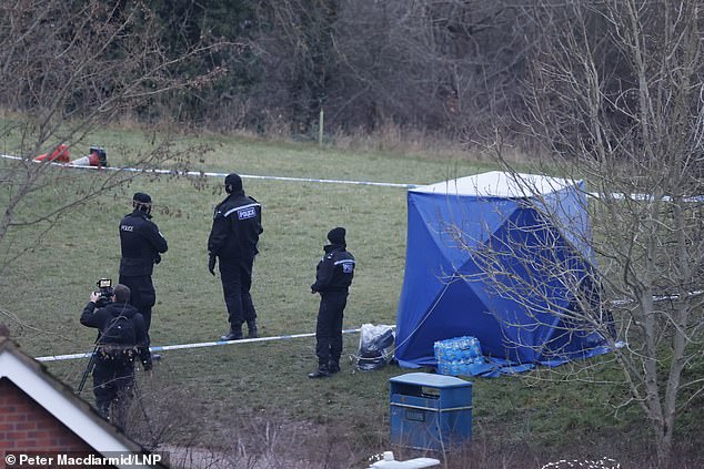 13yr old boy stabbed to death as a girl and four boys aged 13-14yrs arrested by the Police