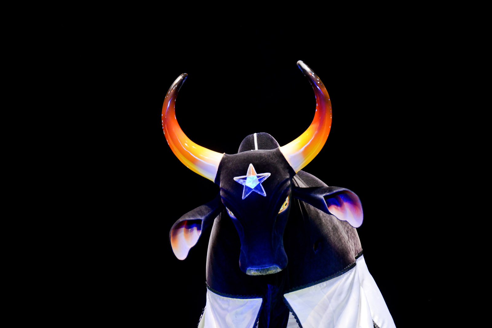 Alex Pazuello Fotografia Caprichoso 2013