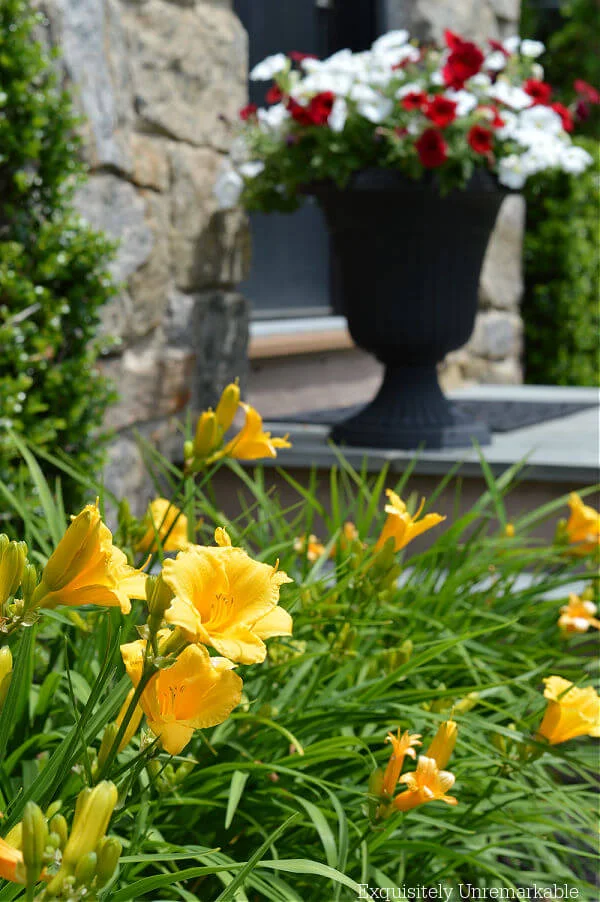 Flowers In The Front Yard