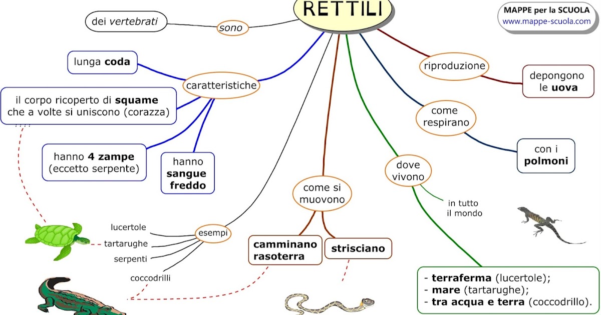MAPPE per la SCUOLA I RETTILI