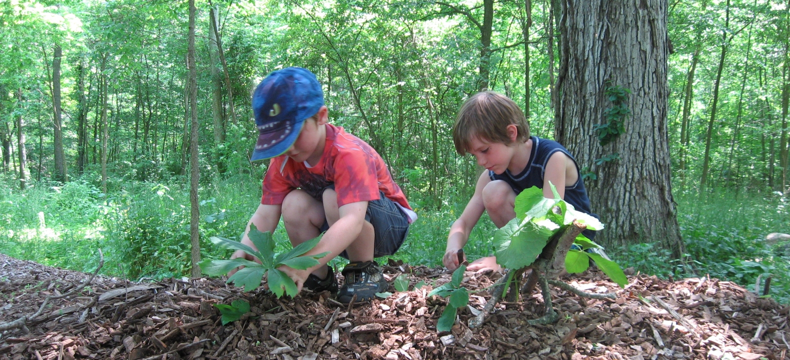 DarkeJournal.com: Nature Day!